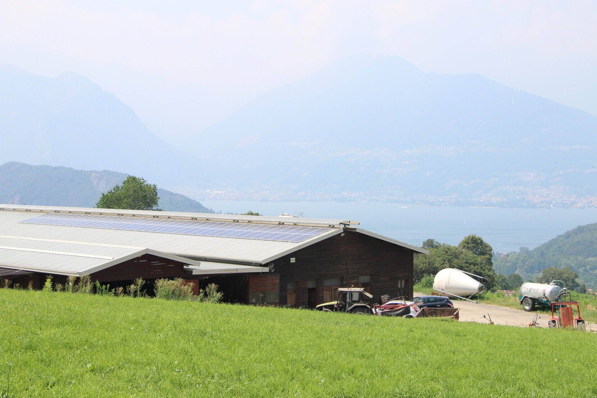 Azienda agricola Bettiga Pietro Colico