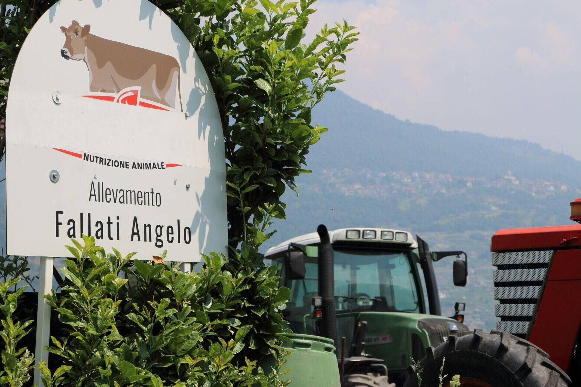 Azienda Agricola Fallati Angelo