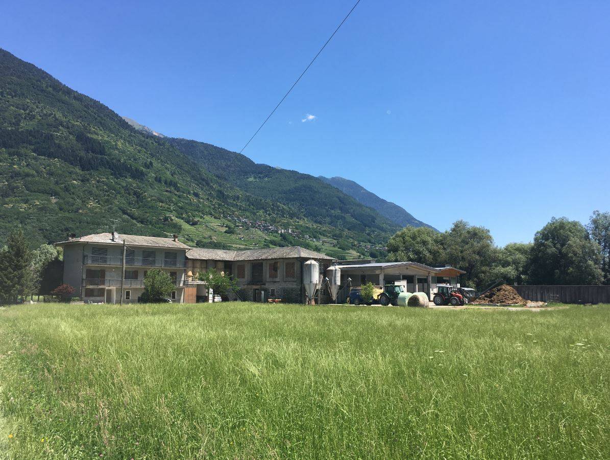 azienda Cascina Tocalli