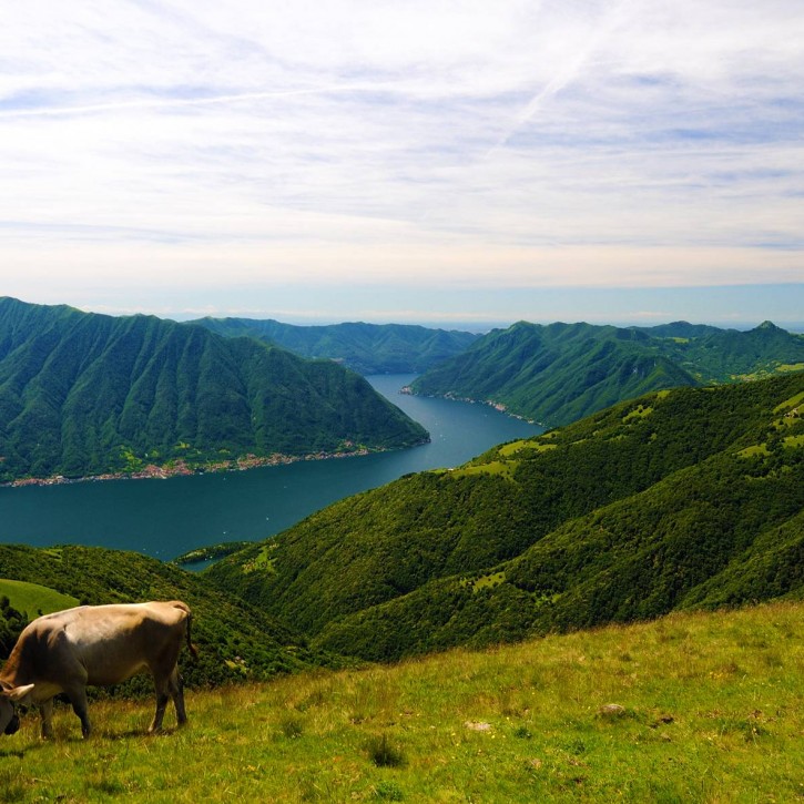 Pascoli sulle Alpi con vista sul lago di Como