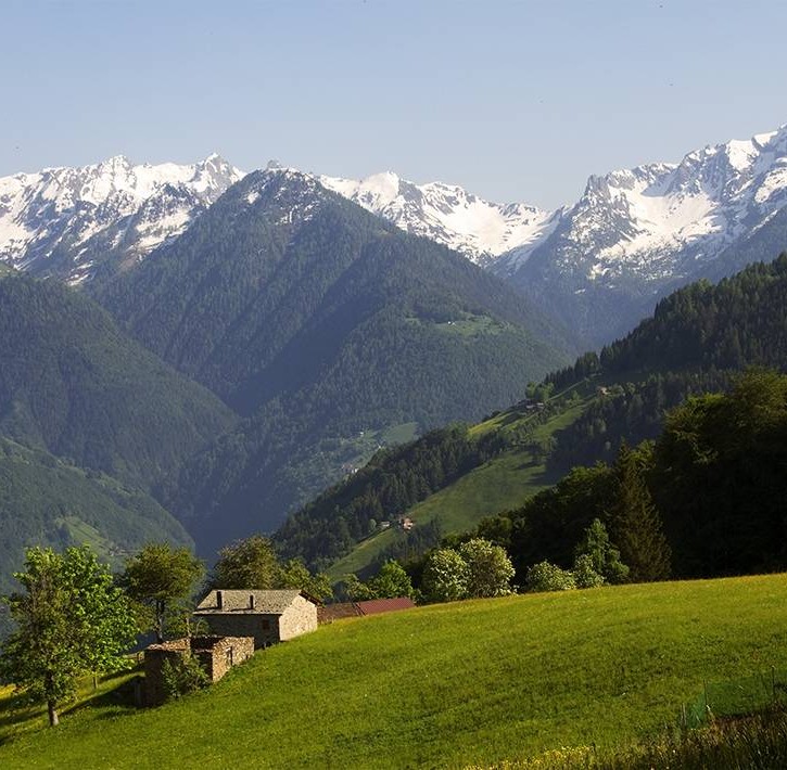 Bassa Valtellina - alpeggi sulle Alpi