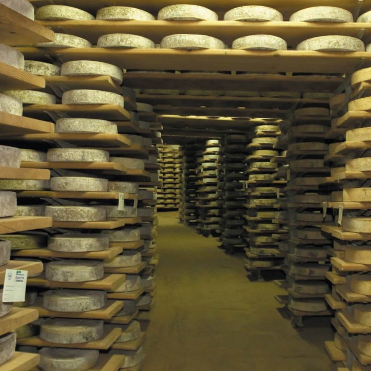 I famosi crotti della Valchiavenna